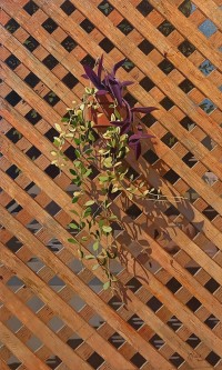 S. M. Fawad, 24 x 42 Inch, Oil on Canvas, Realistic Painting, AC-SMF-268 S. M. Fawad, 24 x 42 Inch, Oil on Canvas, Realistic Painting, AC-SMF-268